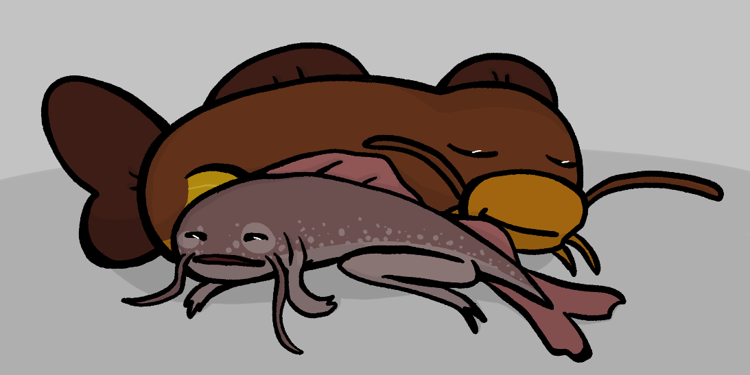 AFCatfishCatandGerald.png
